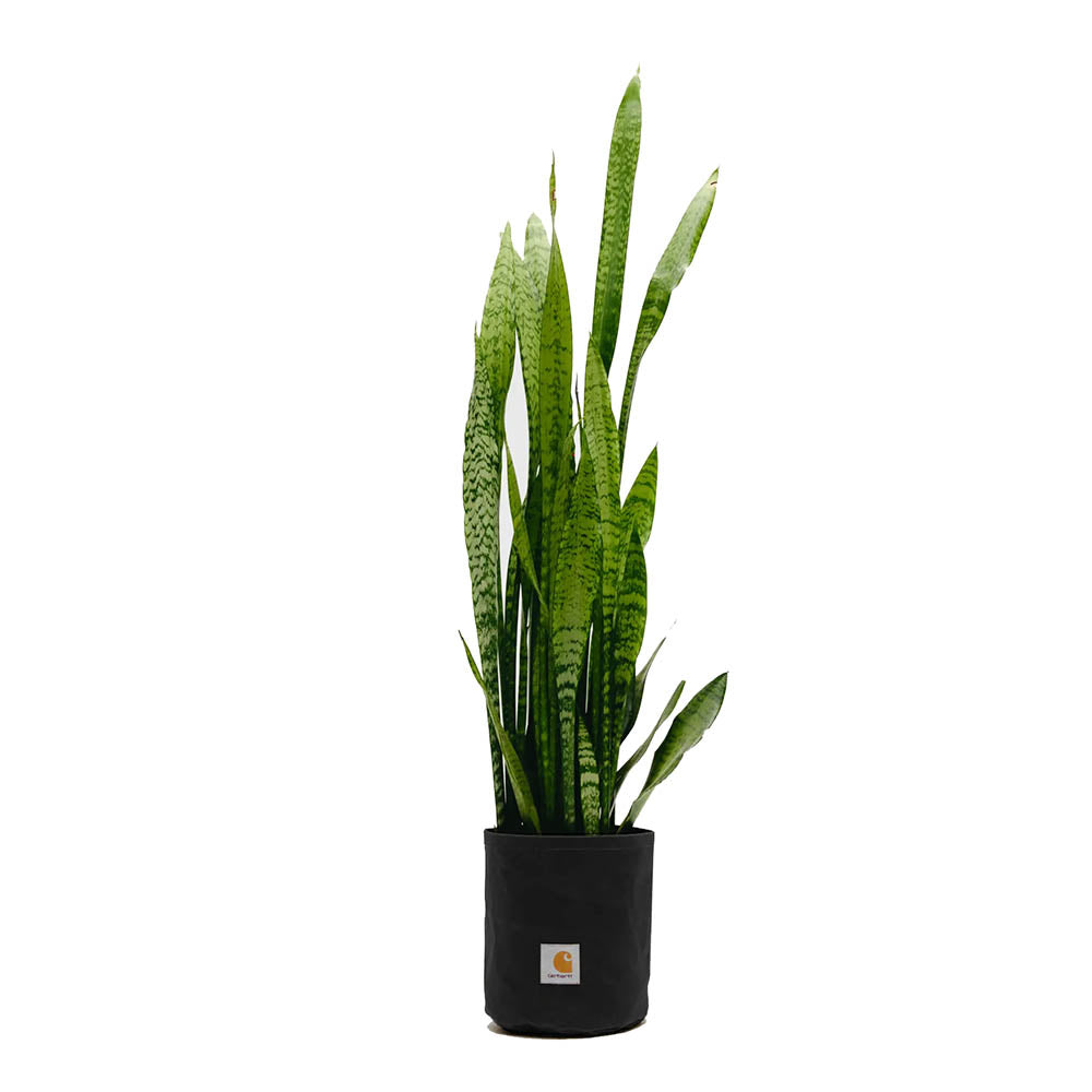 GROUNDWORKS PLANTER SET