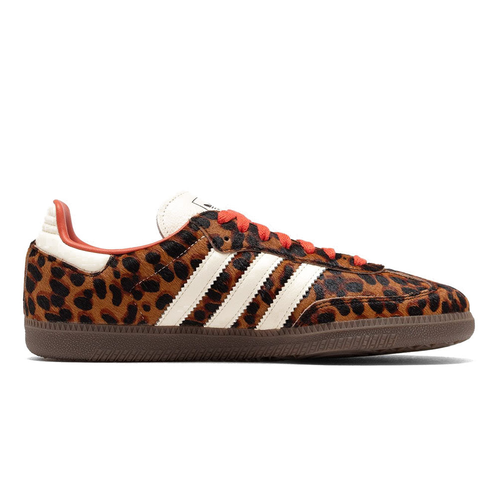 SAMBA OG PRELOVED LEOPARD