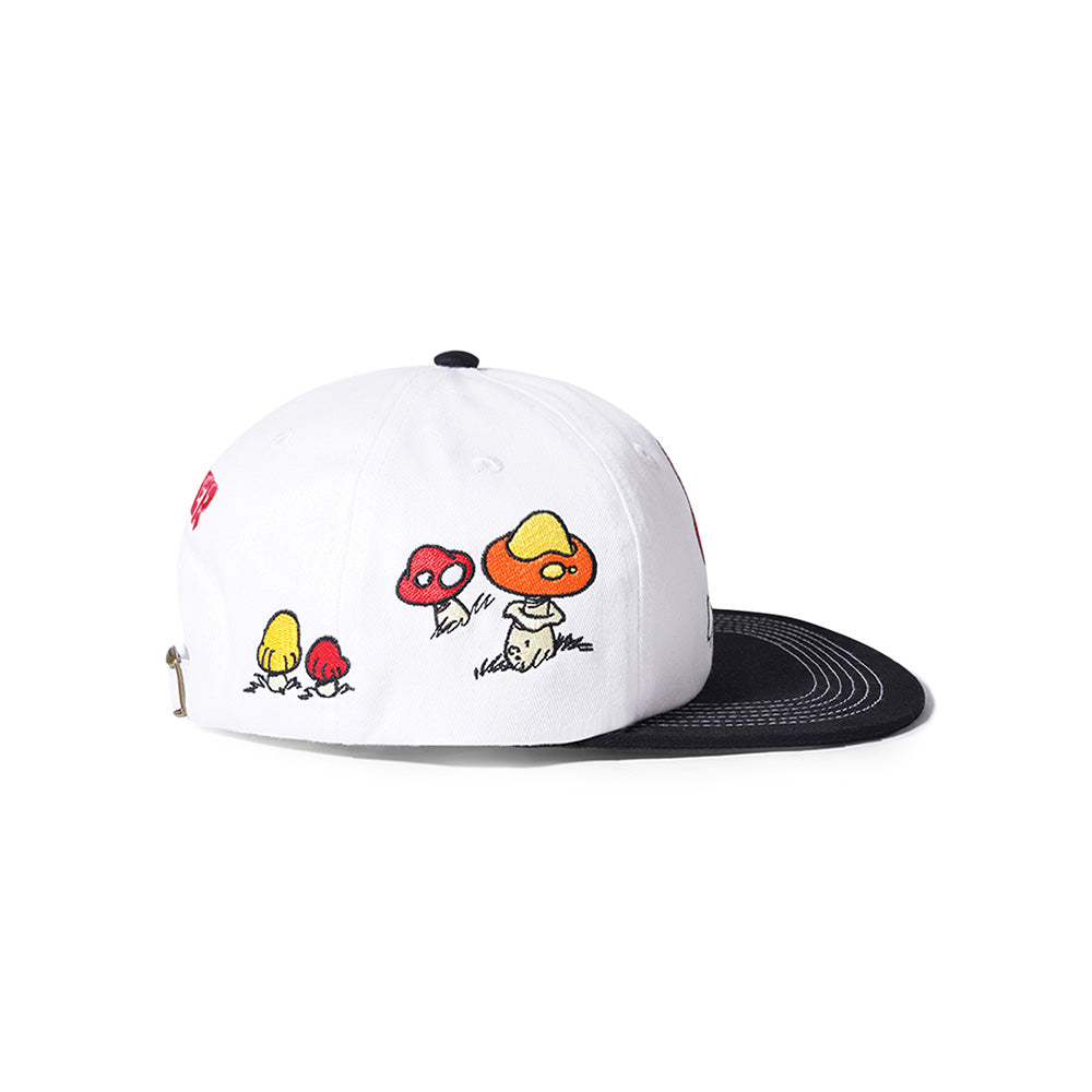 MUSHROOM 6 PANEL CAP