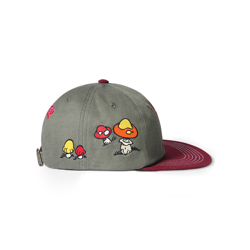 MUSHROOM 6 PANEL CAP