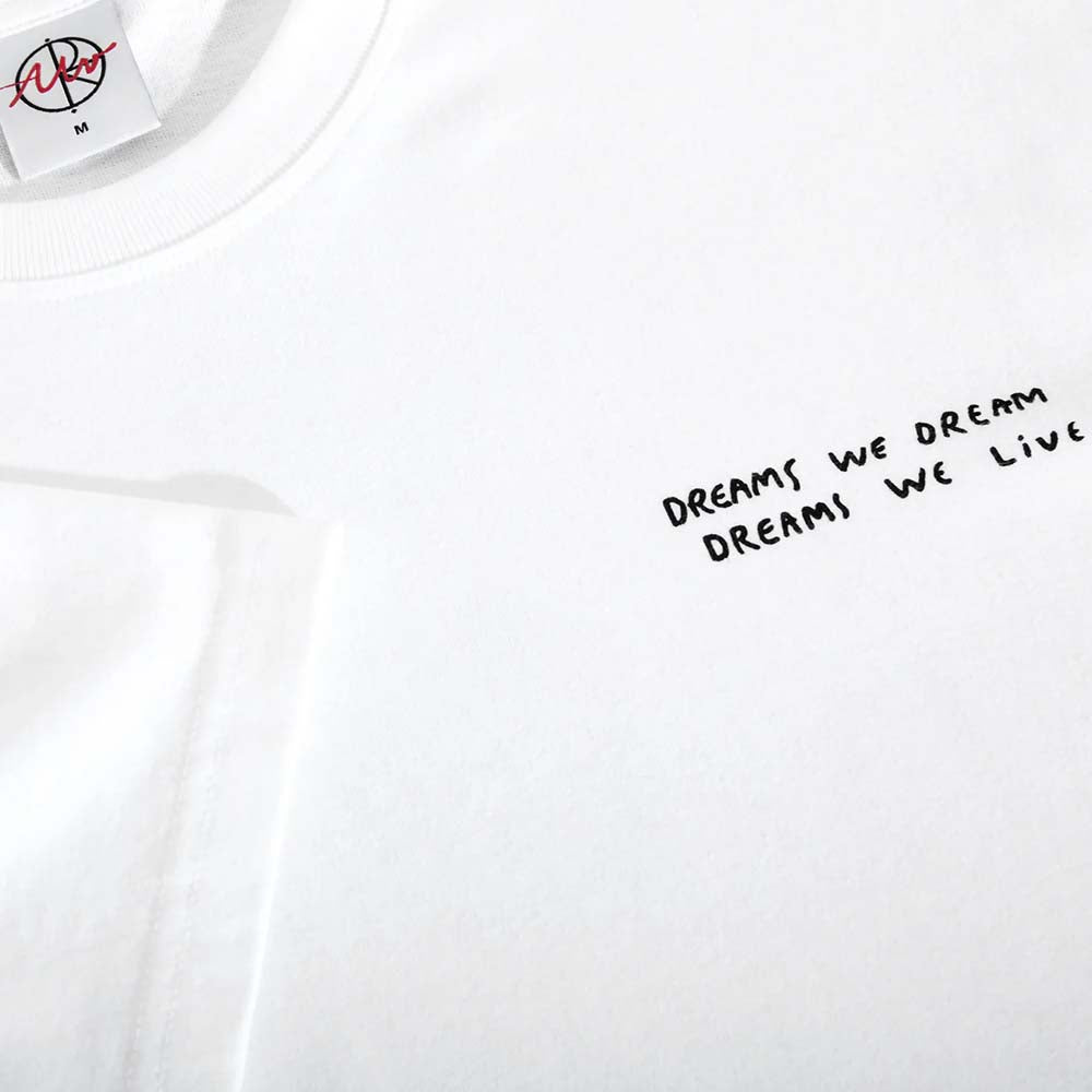 DREAMS WE DREAM