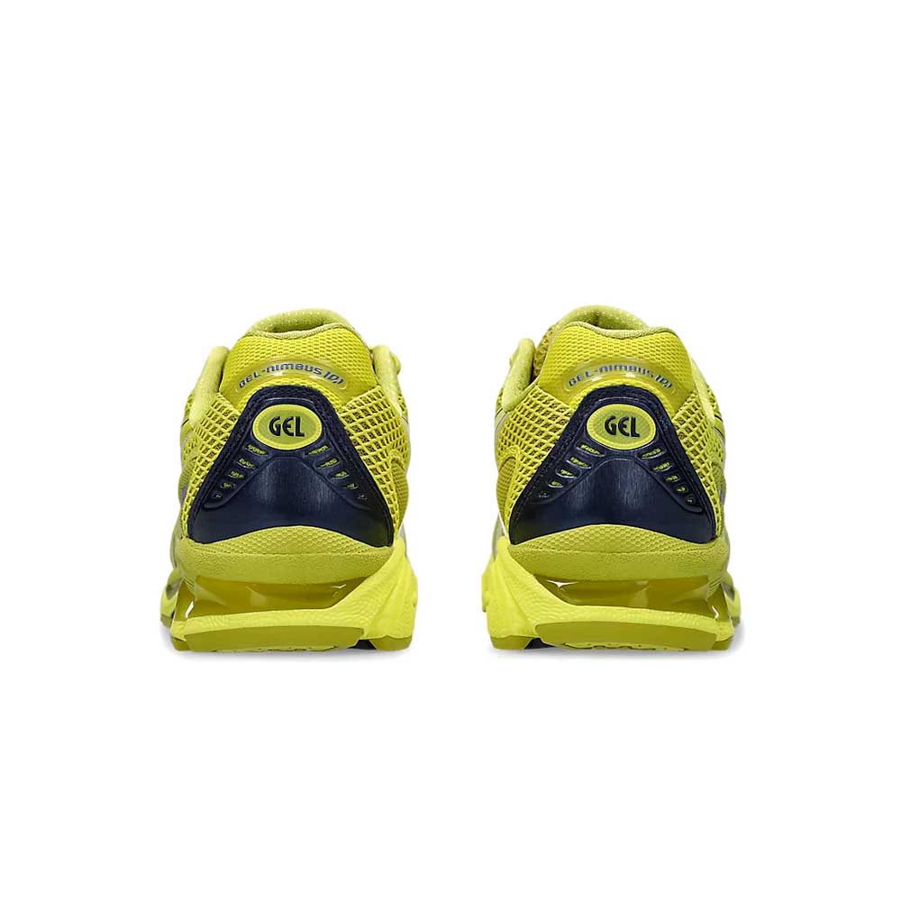 GEL-NIMBUS 10.1