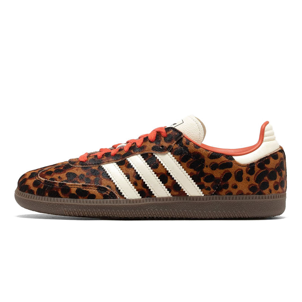 SAMBA OG PRELOVED LEOPARD