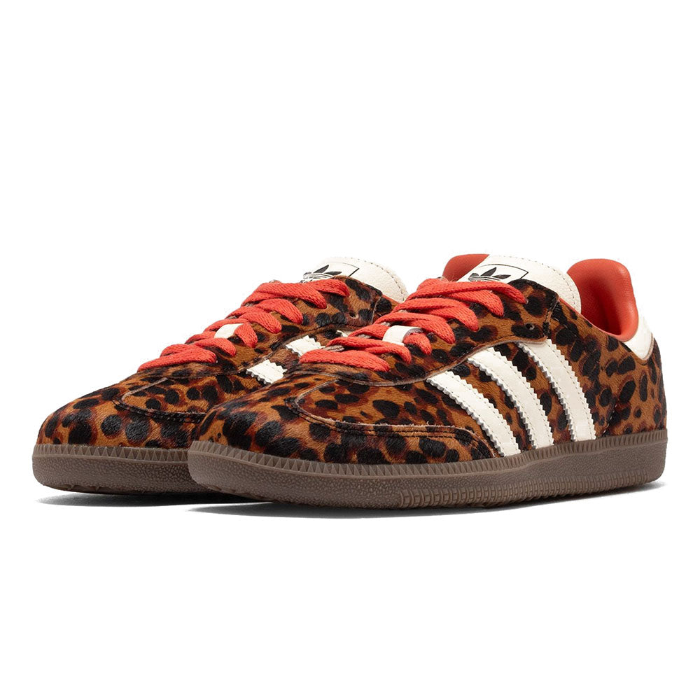 SAMBA OG PRELOVED LEOPARD