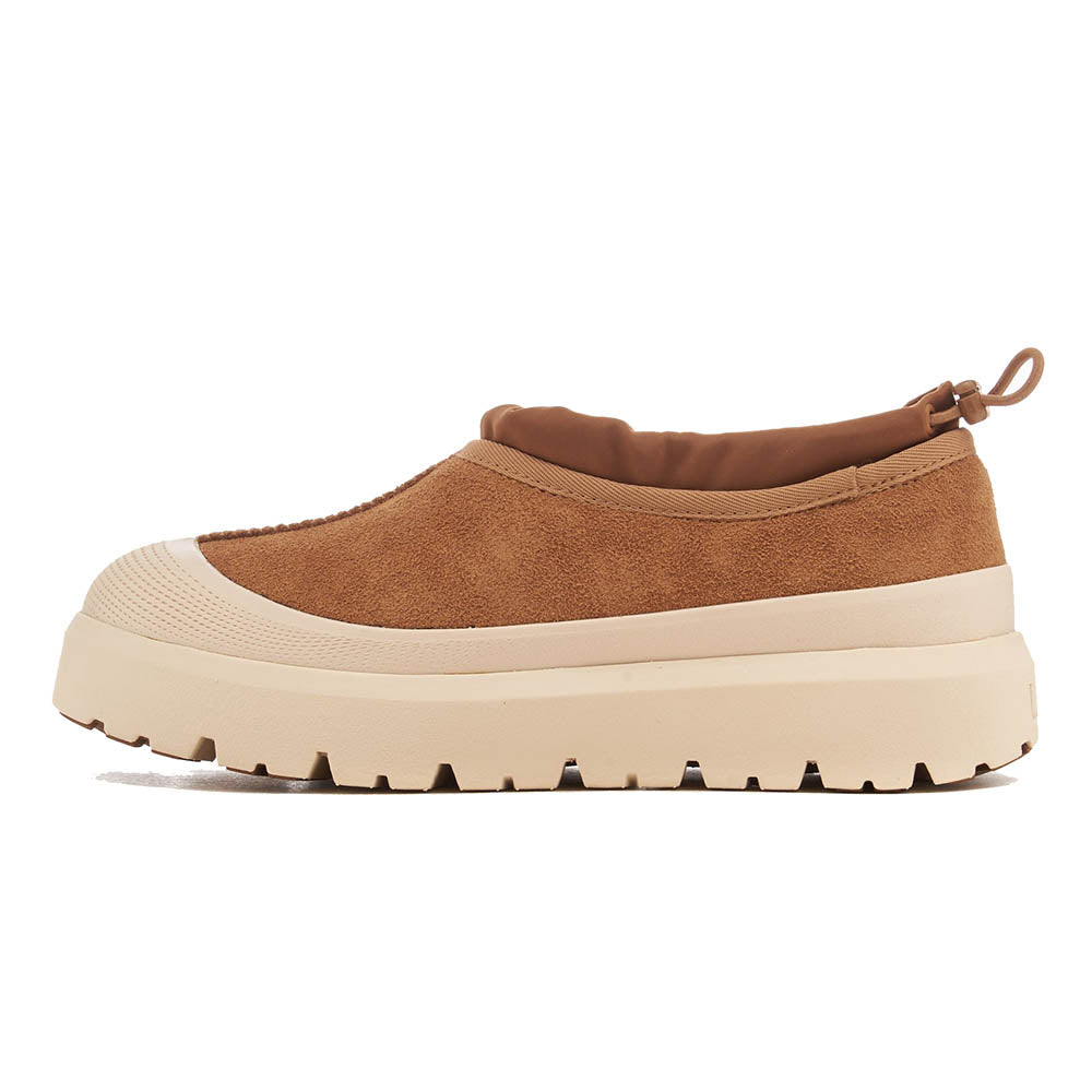 M TASMAN WEATHER HYBRID