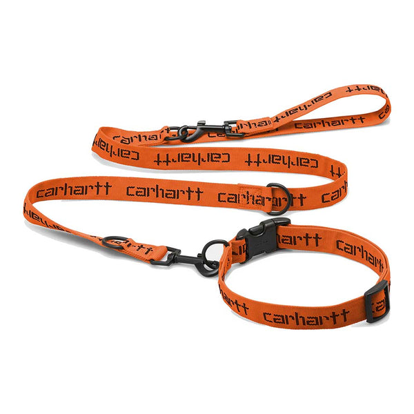 SCRIPT DOG LEASH & COLLAR